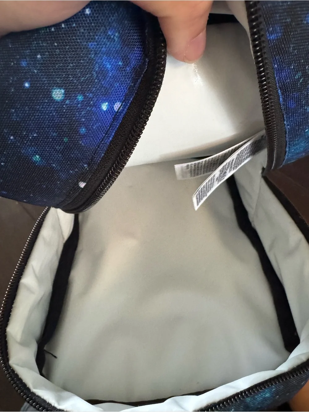 JanSport Lunch Bag-Galaxy Print Mini Backpack - Blue & Green